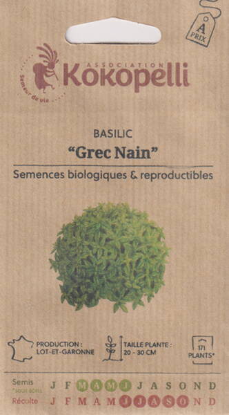 Basilic "Grec Nain"